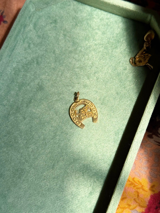 14k Las Vegas Horseshoe Lucky Charm