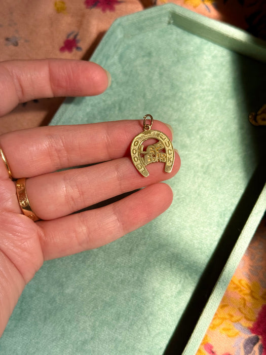 14k Las Vegas Horseshoe Lucky Charm