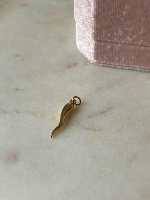 14k Cornicello