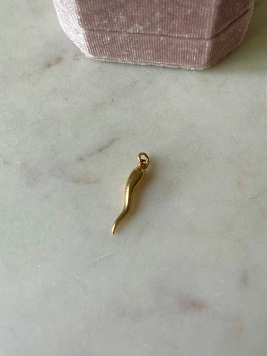 14k Cornicello